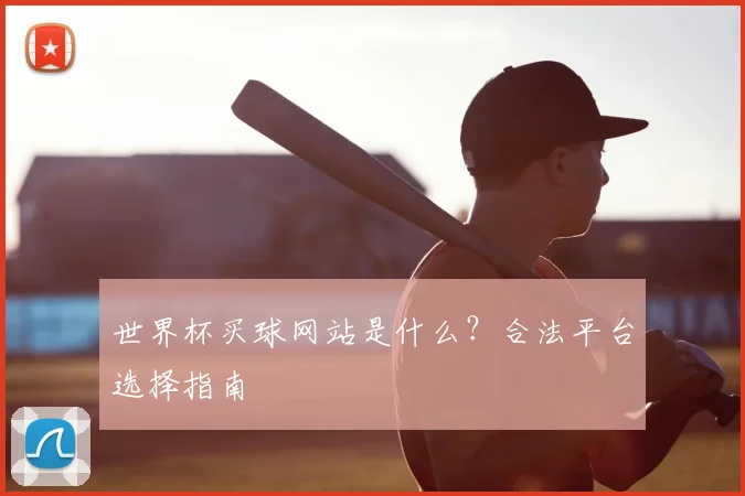 世界杯买球网站是什么？合法平台选择指南