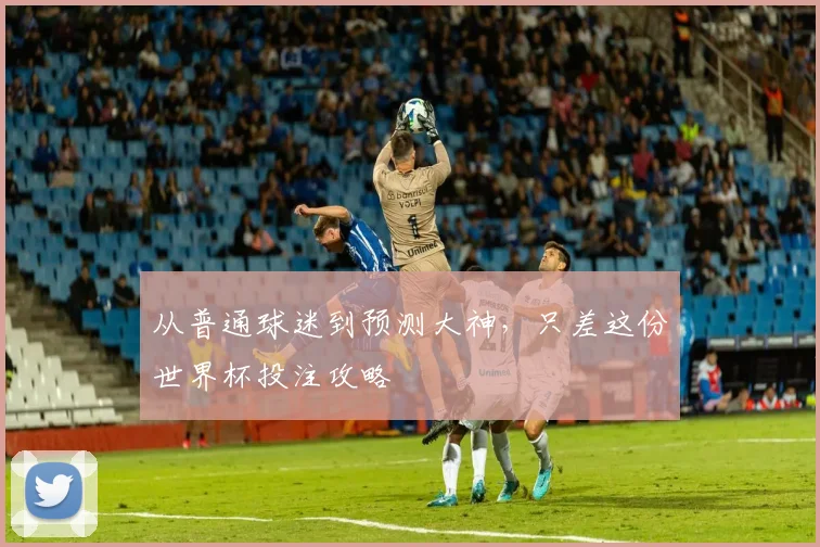 从普通球迷到预测大神，只差这份世界杯投注攻略