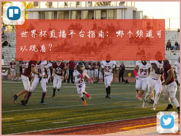 世界杯直播平台指南：哪个频道可以观看？