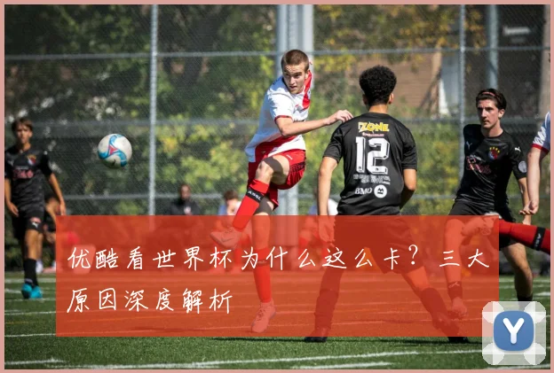 优酷看世界杯为什么这么卡？三大原因深度解析
