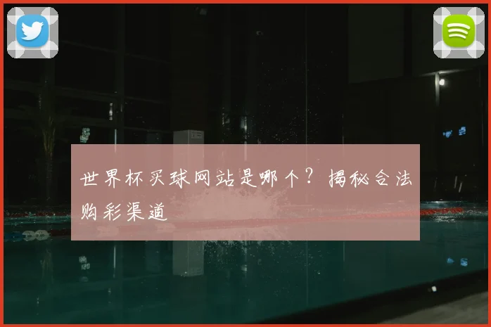 世界杯买球网站是哪个？揭秘合法购彩渠道