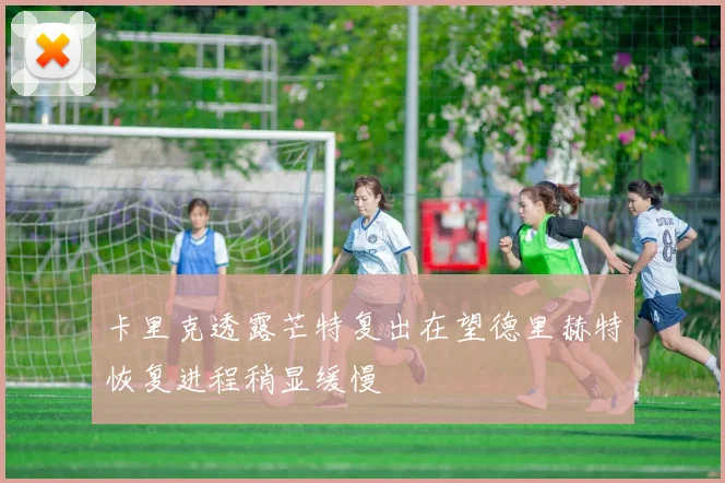 卡里克透露芒特复出在望德里赫特恢复进程稍显缓慢