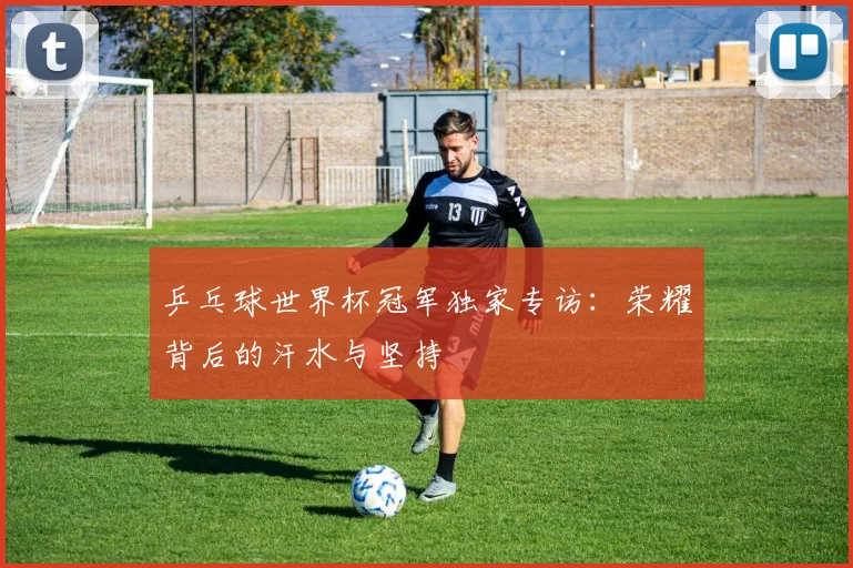 乒乓球世界杯冠军独家专访：荣耀背后的汗水与坚持