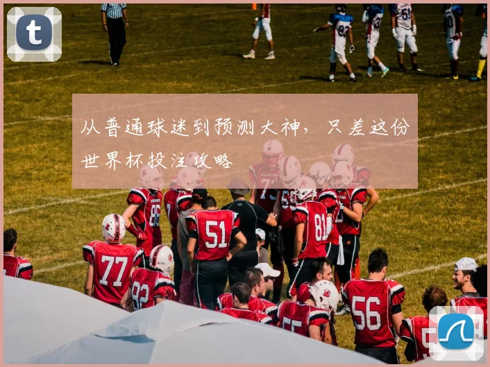 从普通球迷到预测大神，只差这份世界杯投注攻略